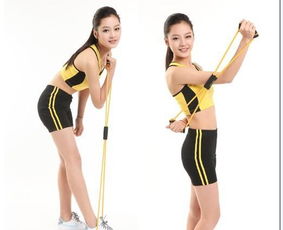 易威斯堡塑胸拉力器 價(jià)格、廠家與選購(gòu)指南