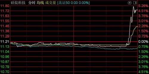 北交所震蕩調整 逾百股下挫，技術開發板塊承壓——以n鴻智超14%領跌為例